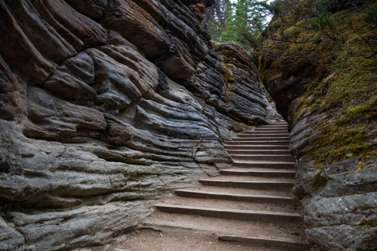 Athabasca Falls Trail Stairway in Alberta Canada