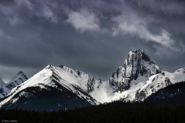 The snowy peaks of the Canadian Rockies