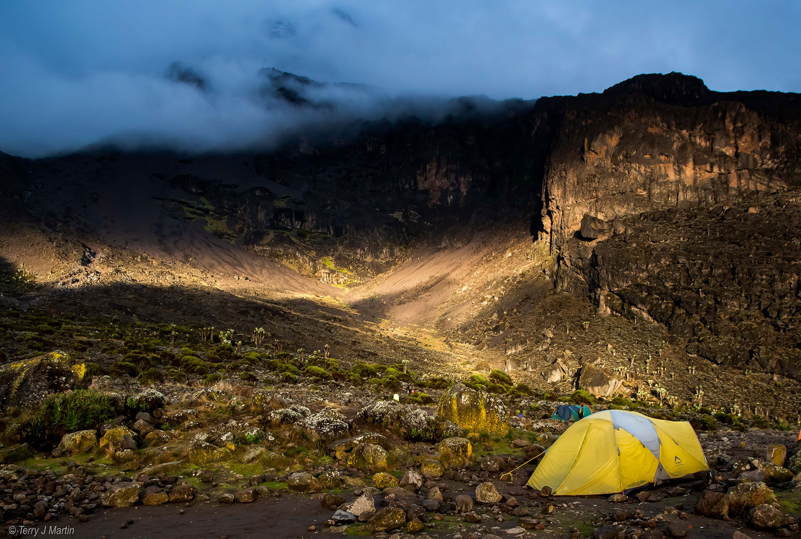 Yellow Tent at Kilimanjaro