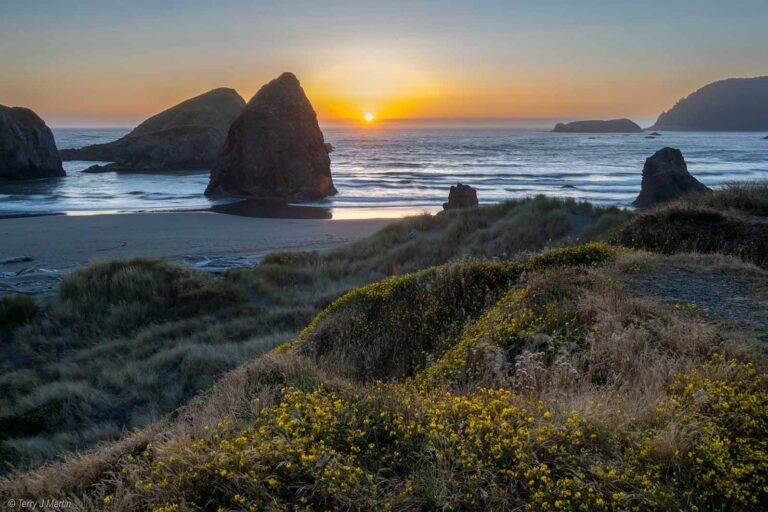 Oregon Coast where the sun almost meets the horizon line