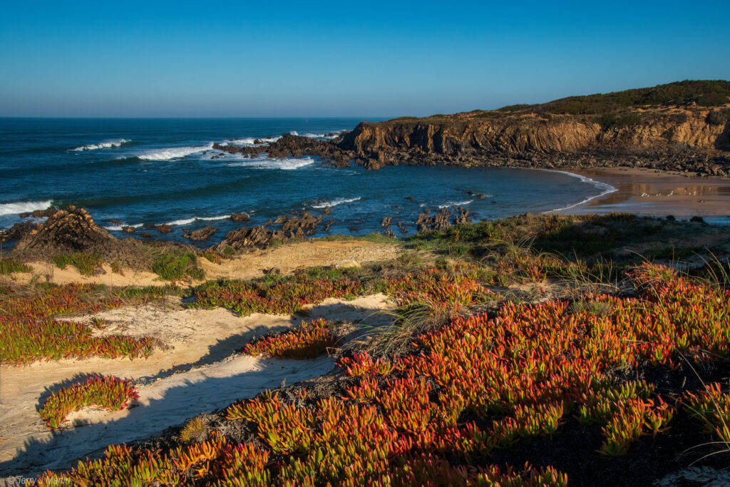 Coastal landscape of Rota Vicentina, Portugal