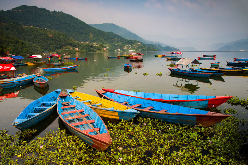 A series of colorful boats at Lake Phewa, Pokhara