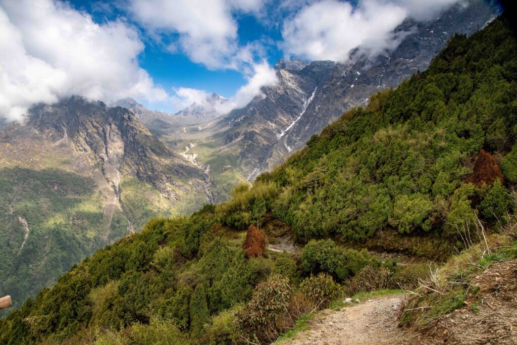 Subalpine Section of the Gosainkund Trek