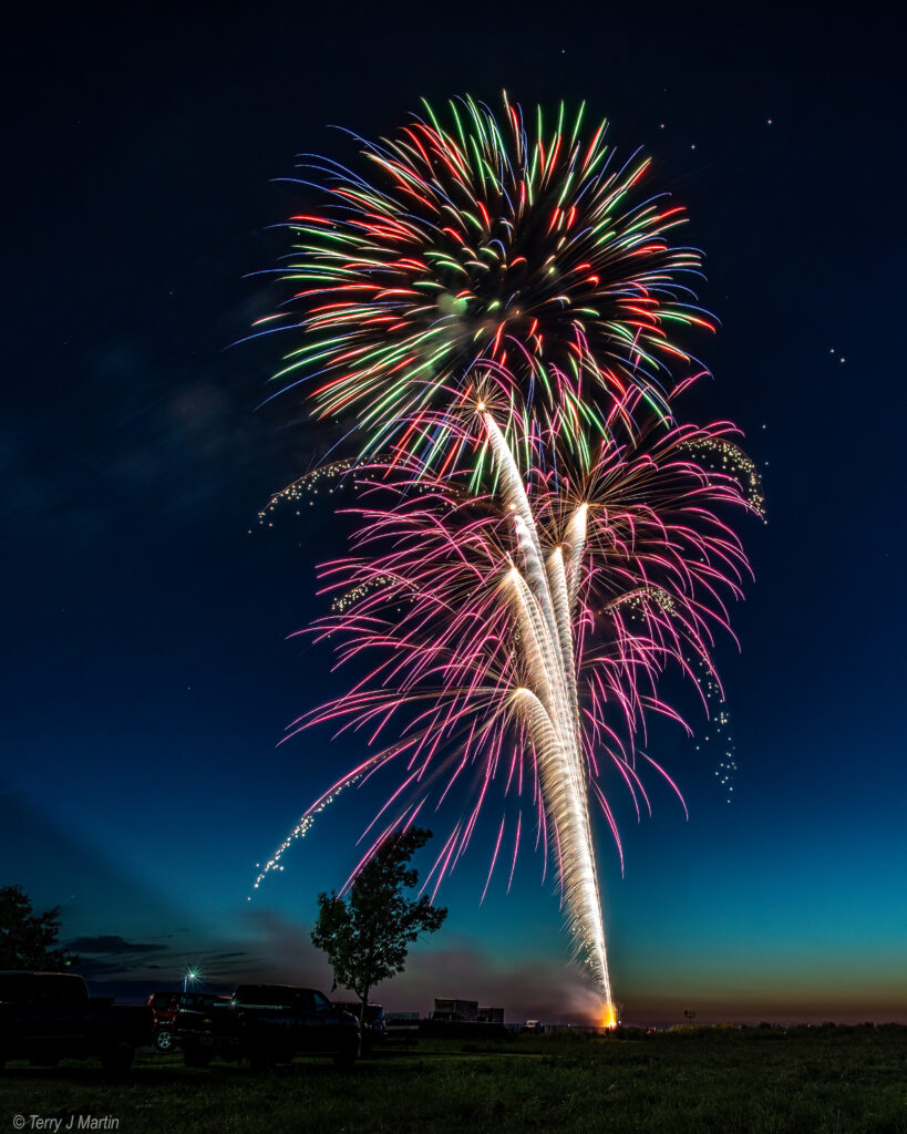 Fireworks over an open field, with a small tree in the foreground
