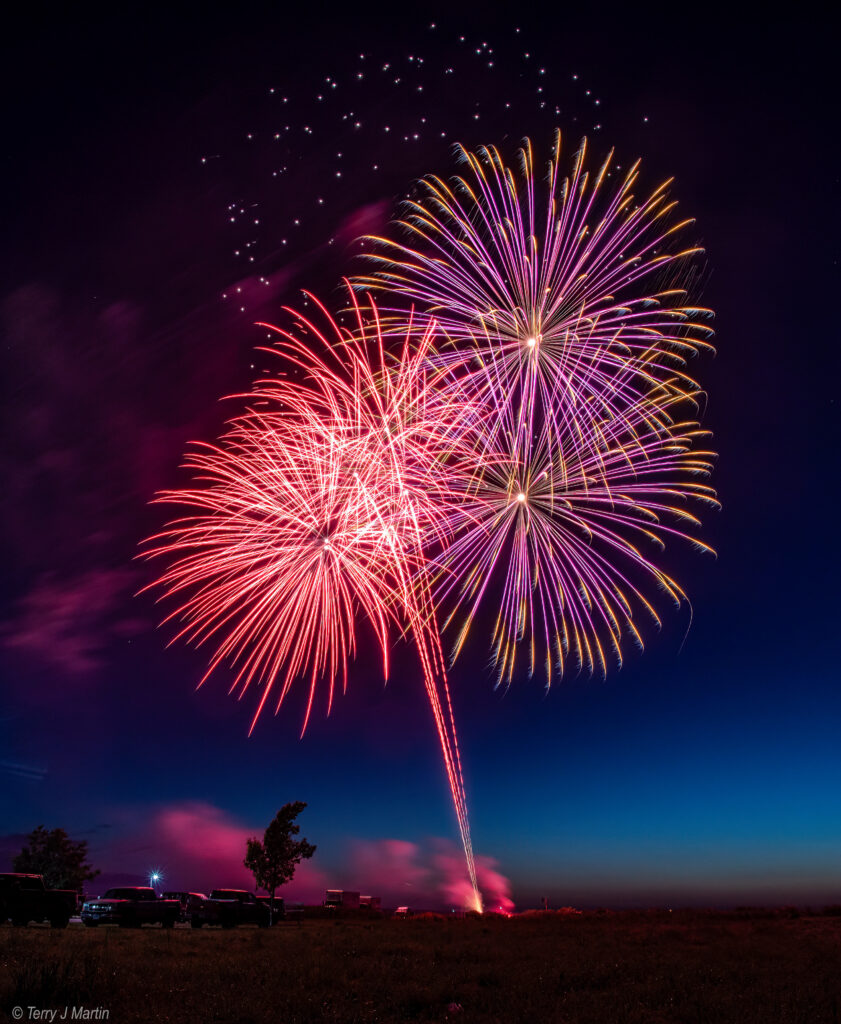 Fireworks over an open field, with a small tree in the foreground