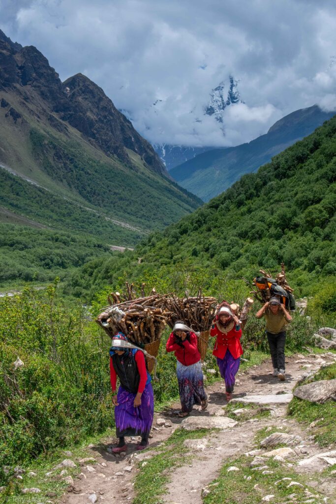 Four nepalese locals gathering forewood