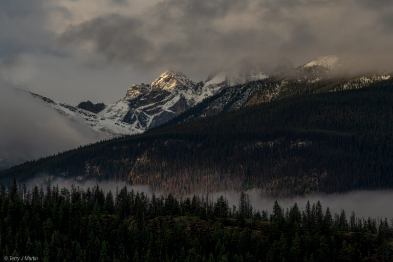 A cloudy twilight view of the vista near Jasper