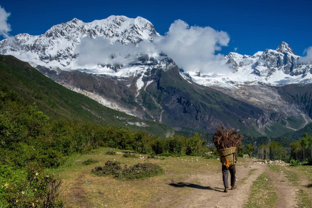 A Wood Carrier walking a path near Samagaun